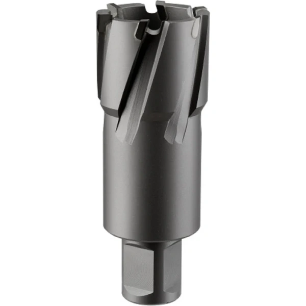 Фреза  ROTORICA TCT 33x55мм. RT.4225033  в Москве