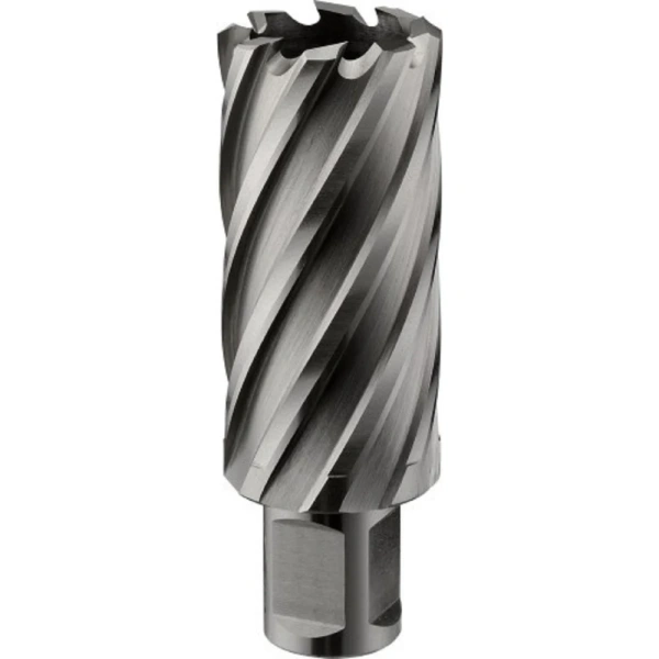 Фреза  ROTORICA TCT 17х55мм RT.4225017